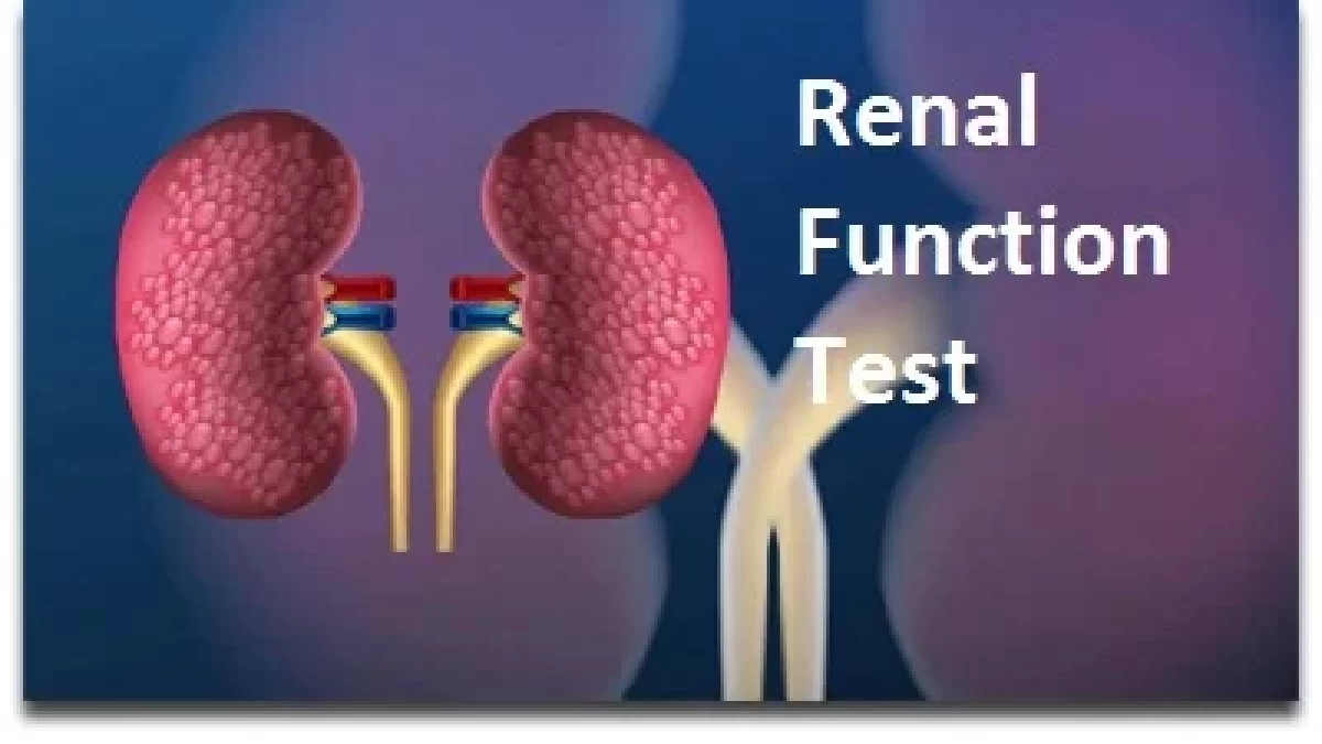 Renal Function Test (RFT): Why Kidney Health Testing is Essential for Long-Term Wellness
